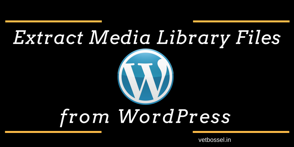 Read more about the article Extract Media Library files in WordPress