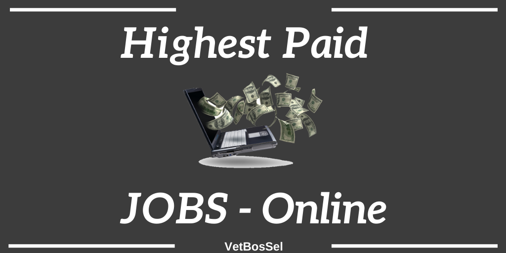 Read more about the article Highest Paid Jobs Online